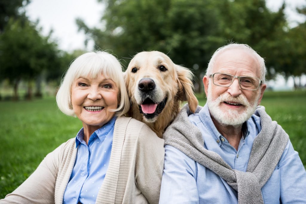 happy senior couple with adorable golden retriever dog in park